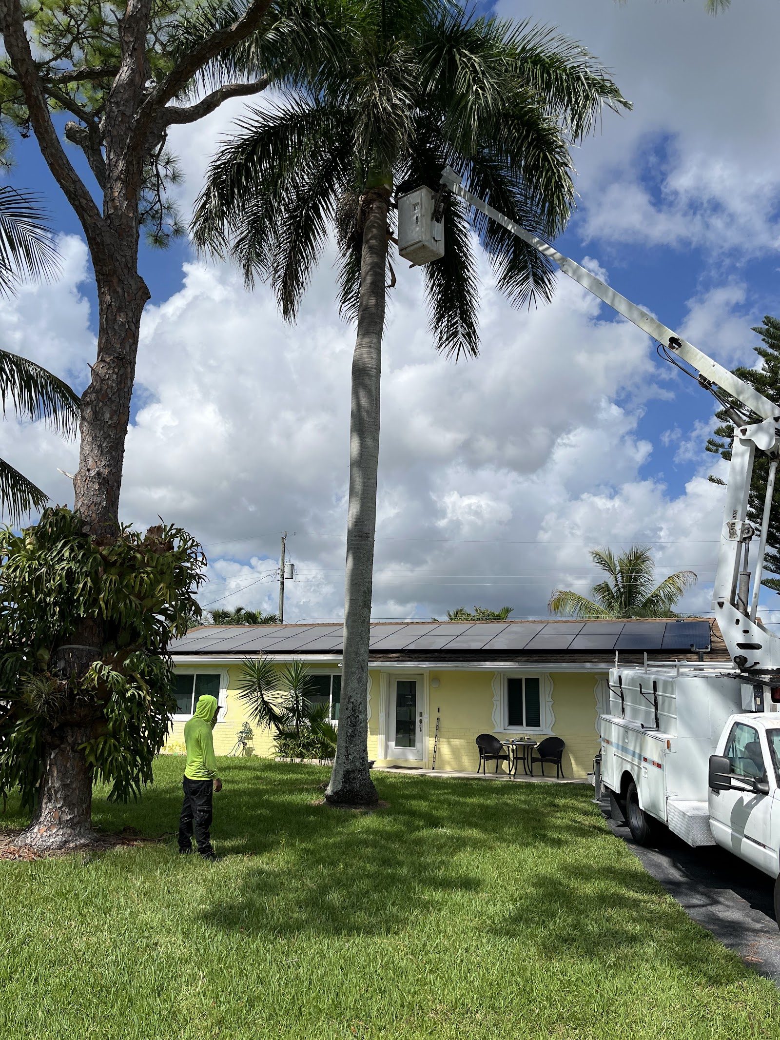 The Seminole crew, owner of Seminole Tree Service LLC