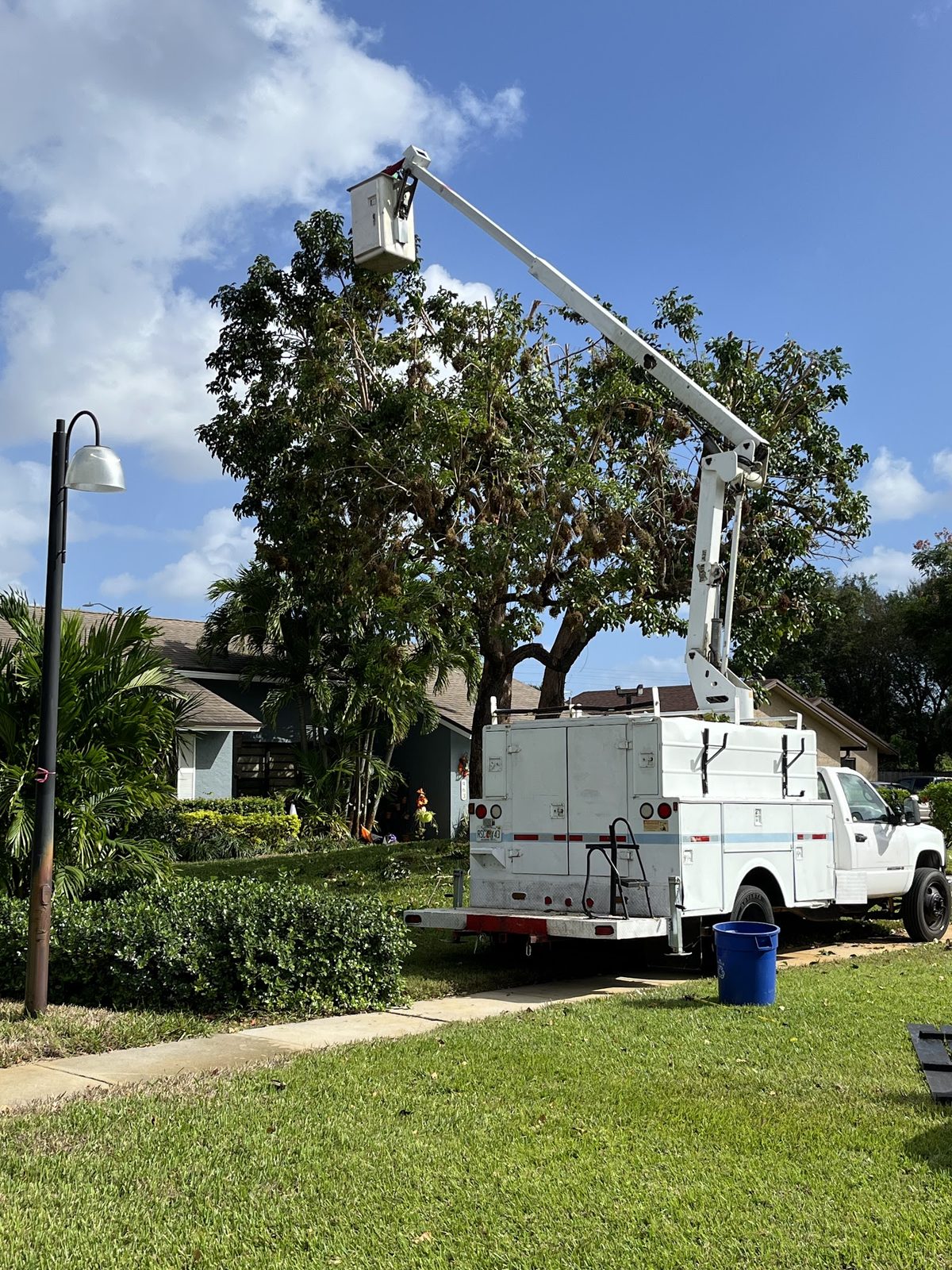 Bucket truck and chip setup at the curb