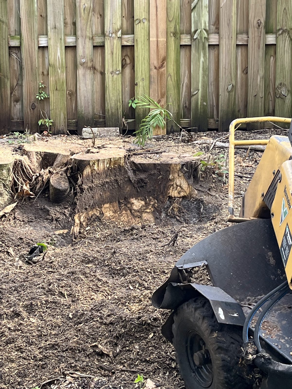 Stump ground below grade