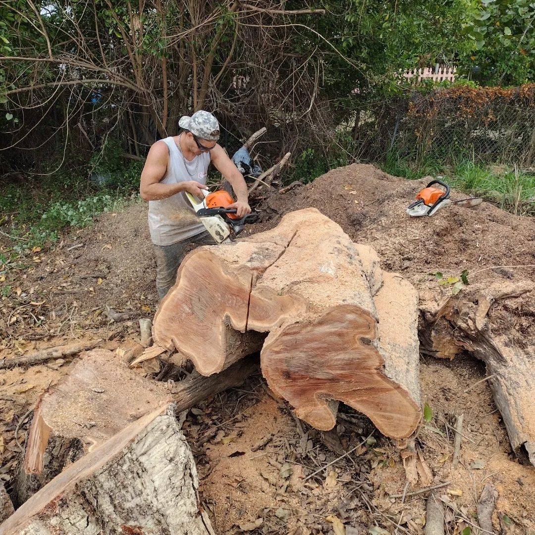 Fresh cut rounds ready for haul-away